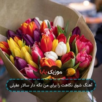 آهنگ شوق نگاهت را برای من نگه دار سالار عقیلی