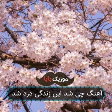 آهنگ چی شد حواسمون پرت شد این زندگی زرد شد