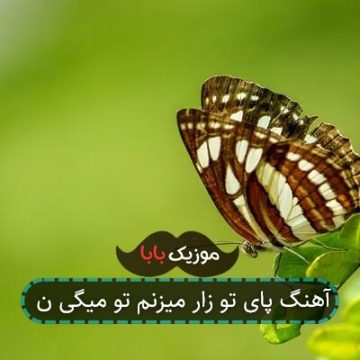 آهنگ پای تو زار میزنم تو میگی ن