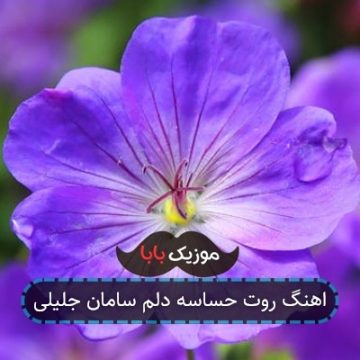 آهنگ میدونی که چجوری که روت حساسه دلم