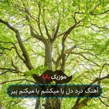 آهنگ درد دل یا میکشم یا میکنم پیر