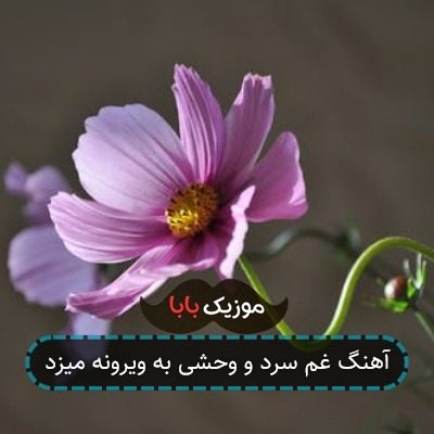 آهنگ غم سرد و وحشی به ویرونه میزد