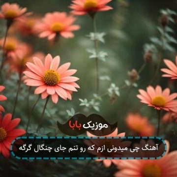 آهنگ چی میدونی ازم که رو تنم جای چنگال گرگه