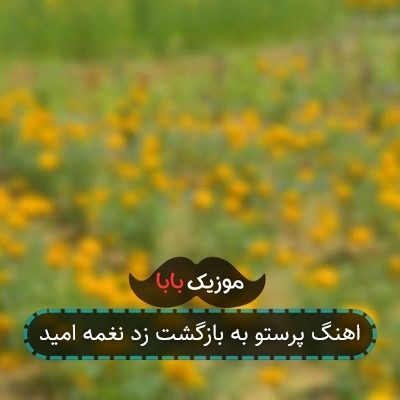 اهنگ پرستو به بازگشت زد نغمه امید