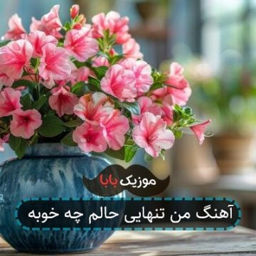 آهنگ من تنهایی حالم چه خوبه