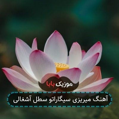 آهنگ میریزی سیگاراتو سطل آشغالی