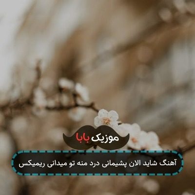آهنگ شاید الان پشیمانی درد منه تو میدانی ریمیکس آهنگ شاید الان پشیمانی درد منه تو میدانی ریمیکس