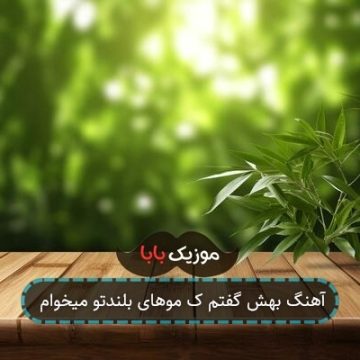 آهنگ بهش گفتم ک موهای بلندتو میخوام
