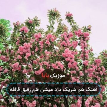 آهنگ هم شریک دزد میشن هم رفیق قافله