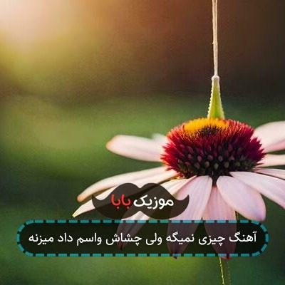 آهنگ چیزی نمیگه ولی چشاش واسم داد میزنه