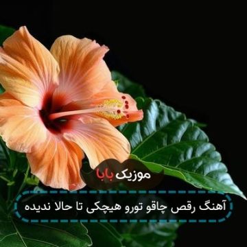آهنگ رقص چاقو تورو هیچکی تا حالا ندیده آهنگ رقص چاقو تورو هیچکی تا حالا ندیده