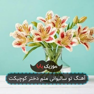 آهنگ تو سالیوانی منم دختر کوچیکت