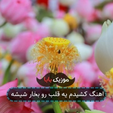 اهنگ کشیدم یه قلب رو بخار شیشه