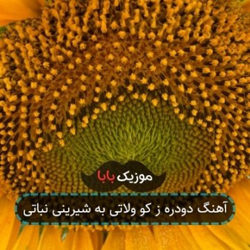 آهنگ دودره ز کو ولاتی به شیرینی نباتی