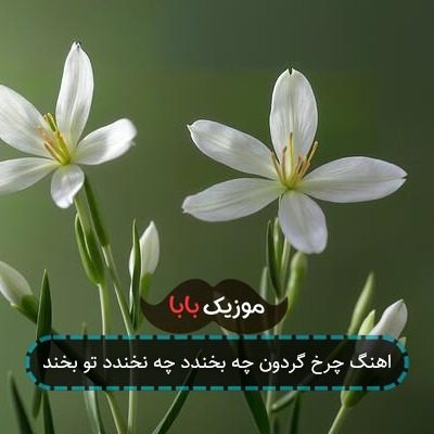 اهنگ چرخ خندون چه بخندد چه نخندد تو بخند