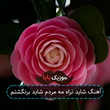 آهنگ شاید نراه مه مردم شاید برنگشتم