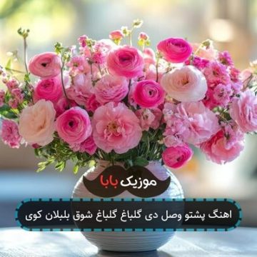 اهنگ پشتو وصل دی گلباغ گلباغ شوق بلبلان کوی