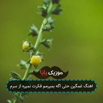 اهنگ حتما اگه بمیرمم فکرت نمیره از سرم