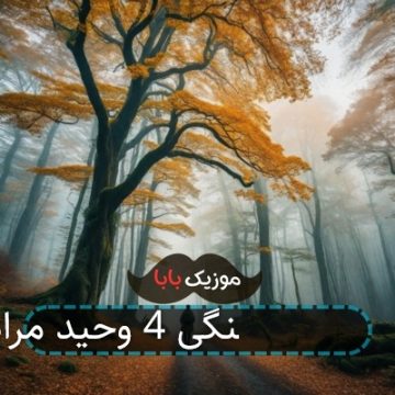آهنگ شلوار پلنگی 4 وحید مرادی