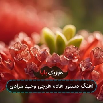اهنگ دستور هاده هرچی وحید مرادی اهنگ دستور هاده هرچی وحید مرادی