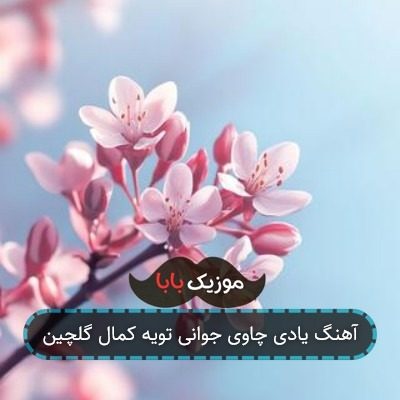 آهنگ یادی چاوی جوانی تویه کمال گلچین آهنگ یادی چاوی جوانی تویه کمال گلچین