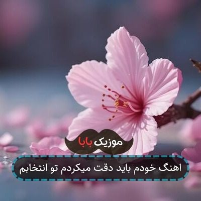 اهنگ خودم باید دقت میکردم تو انتخابم اهنگ خودم باید دقت میکردم تو انتخابم