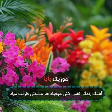 آهنگ زندگی نفس کش میخواد هر مشکلی طرفت میاد