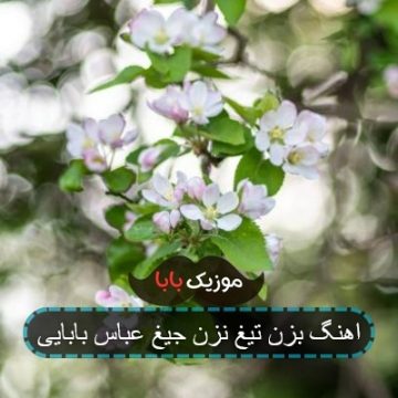 اهنگ بزن تیغ نزن جیغ عباس بابایی