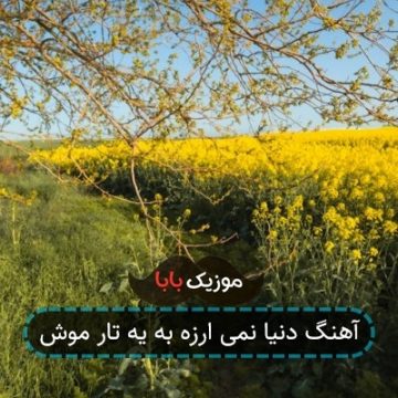 آهنگ دنیا نمی ارزه به یه تار موش