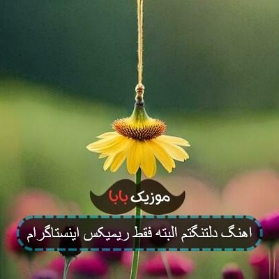 اهنگ دلتنگتم البته فقط ریمیکس اینستاگرام