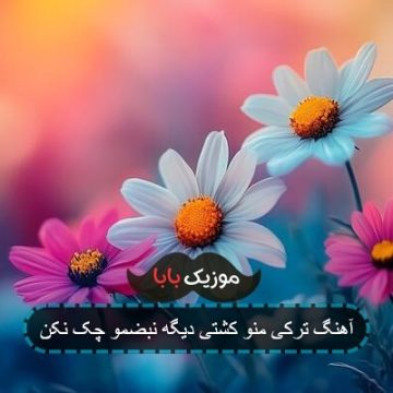 آهنگ ترکی منو کشتی دیگه نبضمو چک نکن آهنگ ترکی منو کشتی دیگه نبضمو چک نکن