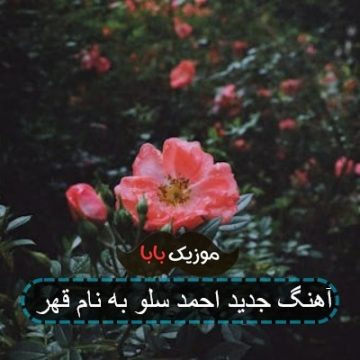 آهنگ جدید احمد سلو به نام قهر