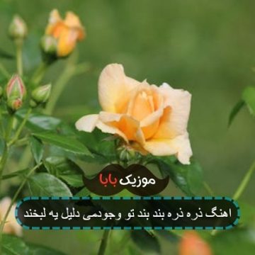 اهنگ ذره ذره بند بند تو وجودمی دلیل یه لبخند