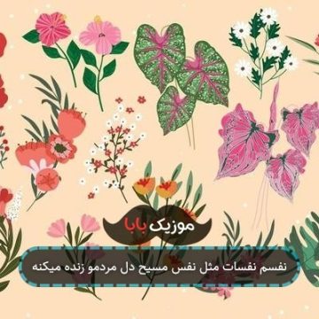 نفسم نفسات مثل نفس مسیح دل مردمو زنده میکنه نفسم نفسات مثل نفس مسیح دل مردمو زنده میکنه