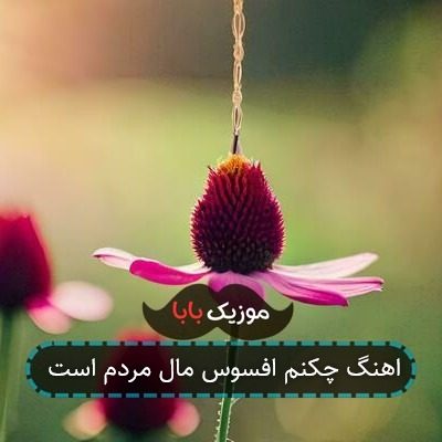 اهنگ چکنم افسوس مال مردم است
