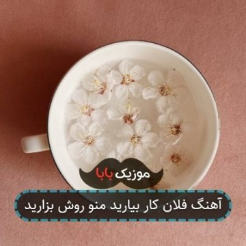 آهنگ فلان کار بیارید منو روش بزارید