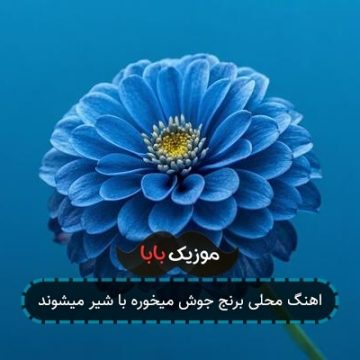 اهنگ محلی برنج جوش میخوره با شیر میشوند