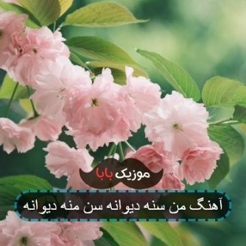 آهنگ من سنه دیوانه سن منه دیوانه