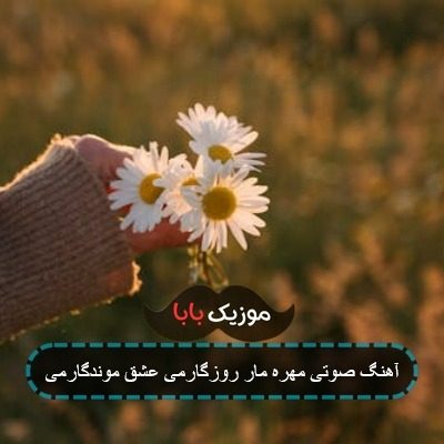 آهنگ صوتی مهره مار روزگارمی عشق موندگارمی