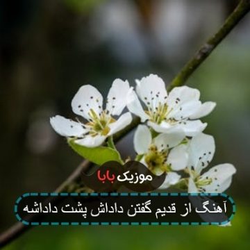 آهنگ از قدیم گفتن داداش پشت داداشه آهنگ از قدیم گفتن داداش پشت داداشه