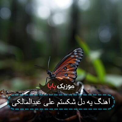 آهنگ یه دل شکستم علی عبدالمالکی
