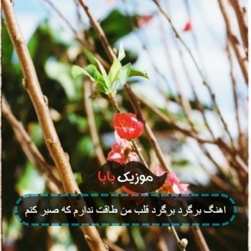 اهنگ برگرد برگرد قلب من طاقت ندارم که صبر کنم