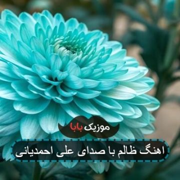 اهنگ ظالم دلم شکانی علی احمدیانی