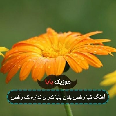 آهنگ کیا رقص بلدن بابا کاری نداره ک رقص آهنگ کیا رقص بلدن بابا کاری نداره ک رقص