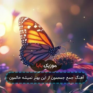 آهنگ جمع جمعمون از این بهتر نمیشه حالمون