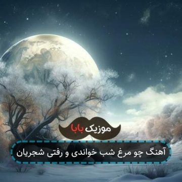 آهنگ چو مرغ شب خواندی و رفتی شجریان