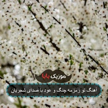 آهنگ تو زمزمه چنگ و عود سحر محمدی