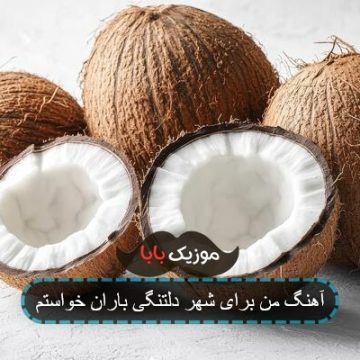 آهنگ من برای شهر دلتنگی باران خواستم آهنگ من برای شهر دلتنگی باران خواستم