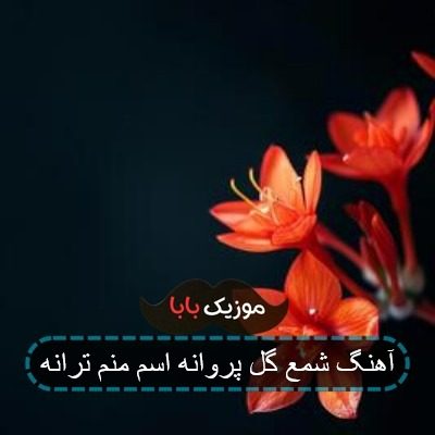 آهنگ شمع گل پروانه اسم منم ترانه آهنگ شمع گل پروانه اسم منم ترانه