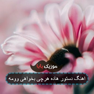 اهنگ دستور هاده هرچی بخواهی وومه اهنگ دستور هاده هرچی بخواهی وومه